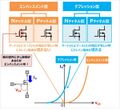2020年8月23日 (日) 23:26時点における版のサムネイル