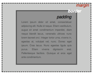 CSS Basic 2.png
