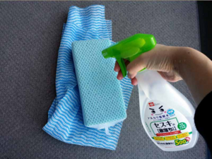 Cleaning ScreenDoor ScreenWindows 3.png